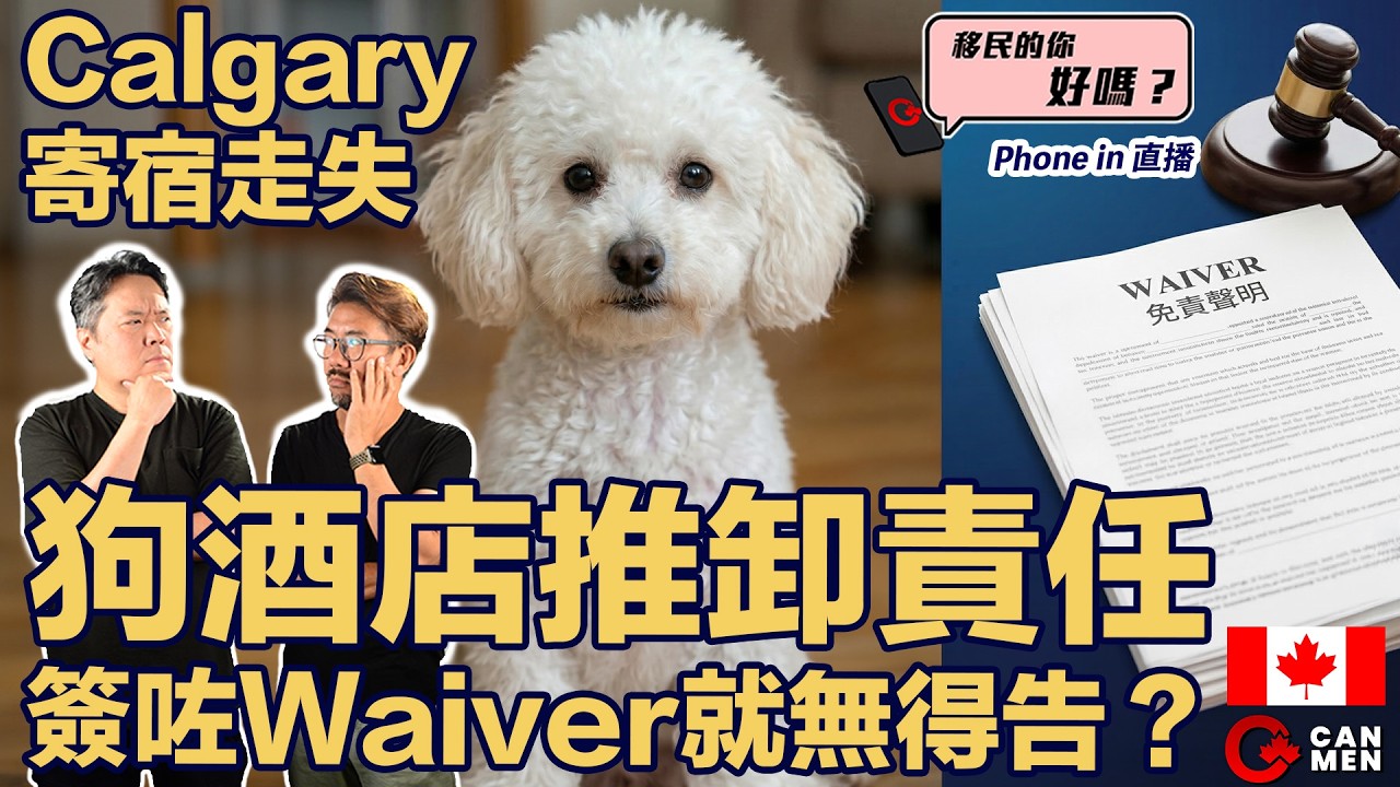 移民噩夢：人在加國愛犬被寄宿方弄丟，我們該如何守護「家人」？| 移民的你好嗎？Phone in 直播