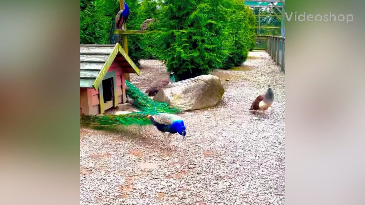 What to do in Stavanger with kids | Kids friendly Park | Soma gård | Soma Farm Stavanger Norway
