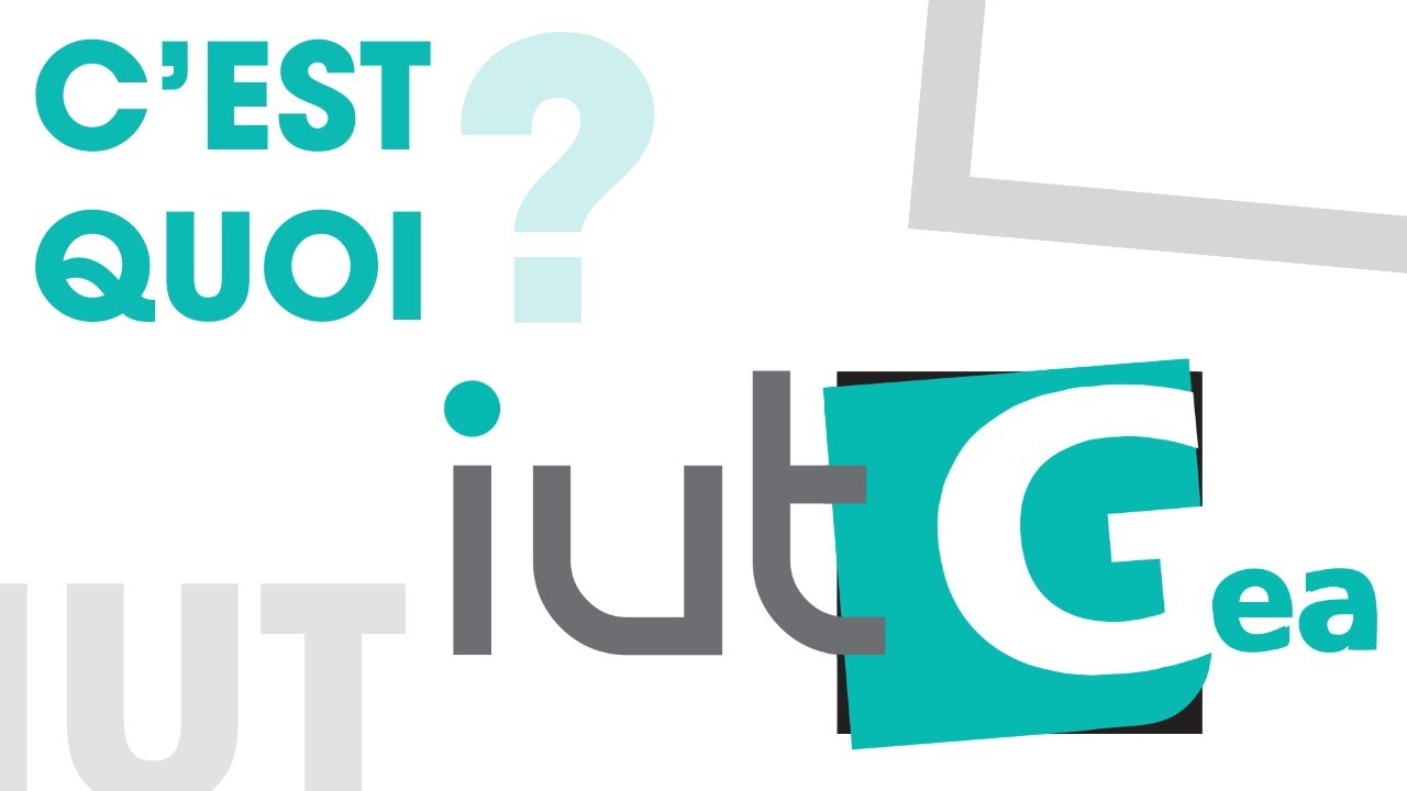 Le BUT Gestion des entreprises et des administrations, c'est quoi ?