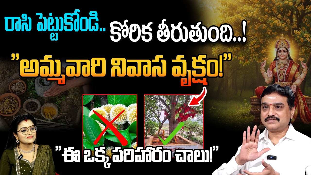 మీ ఇంట్లో ఈ చెట్టు ఉంటే లక్ష్మీదేవి నడచి వస్తుంది..!Kadamba Vruksha Mahima |sumantv prime devotional