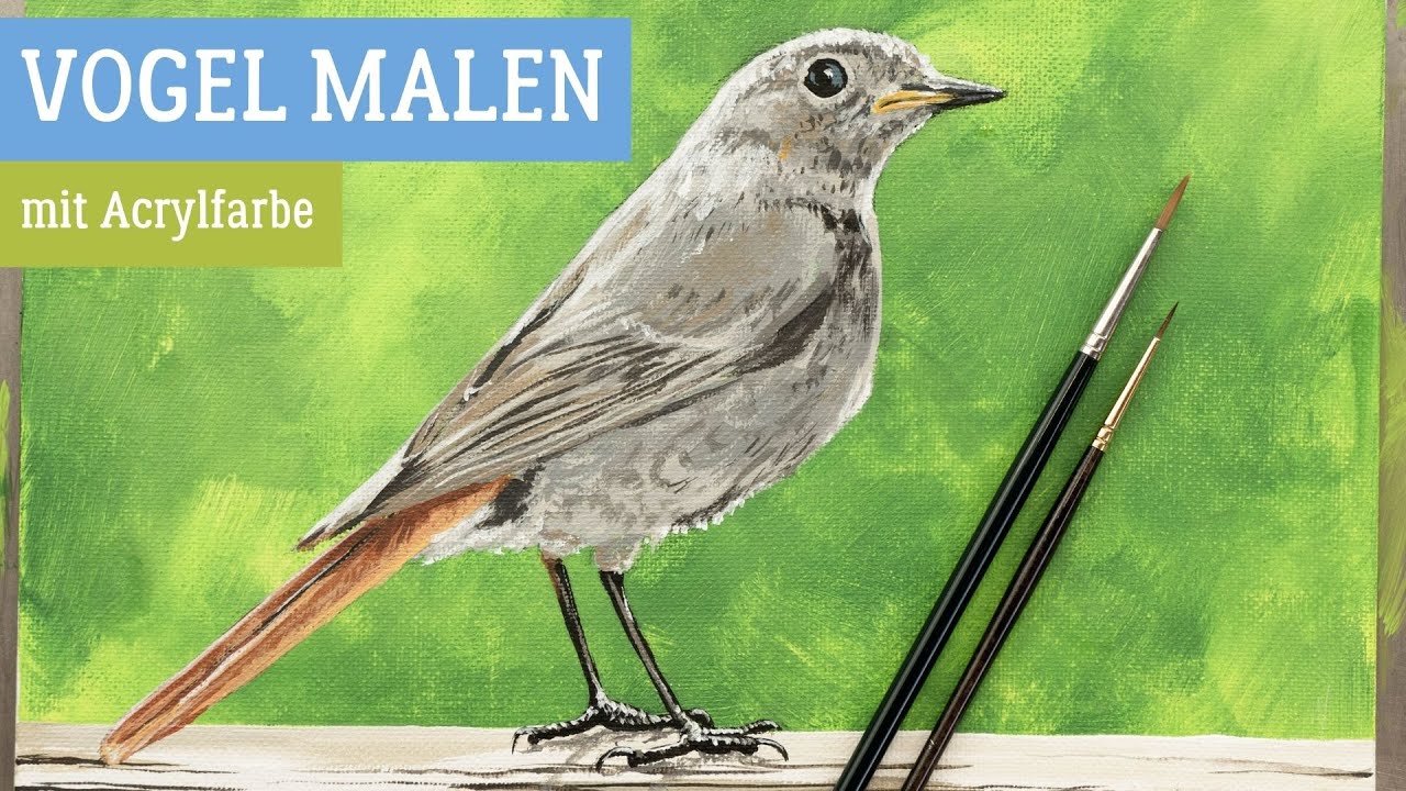 Vogel malen mit Acrylfarbe - So einfach geht's