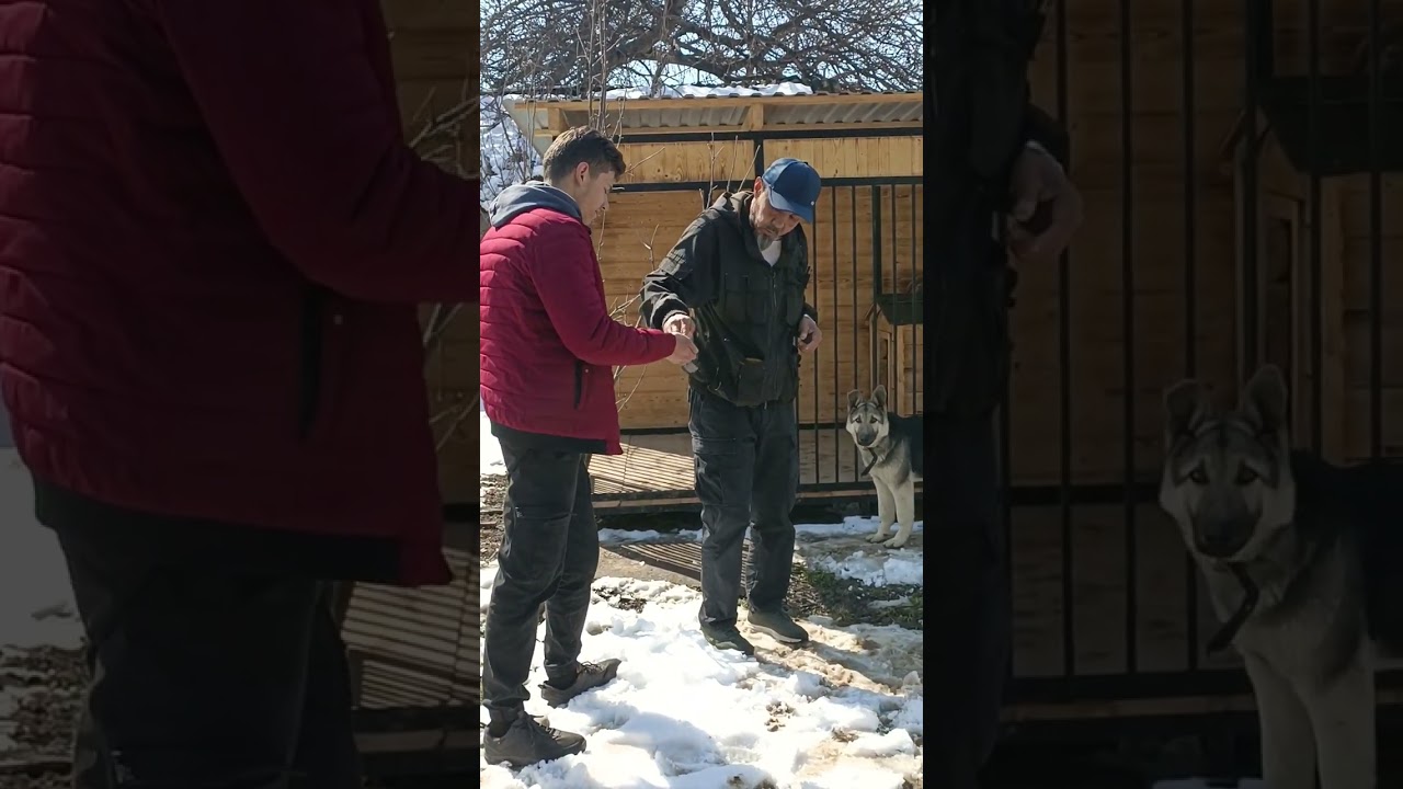 Команда 