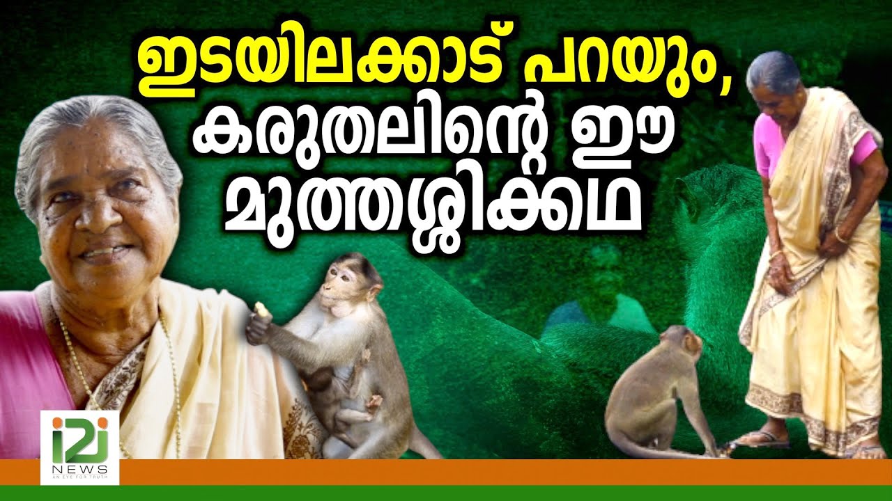 Edayilakkad Monkey Feast |ഇടയിലക്കാട് പറയും,കരുതലിന്റെ ഈ മുത്തശ്ശിക്കഥ