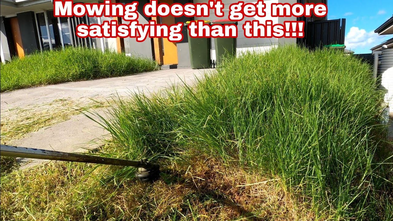 One new client turned into two!!! ULTRA SATISFYING LAWN MOWING!