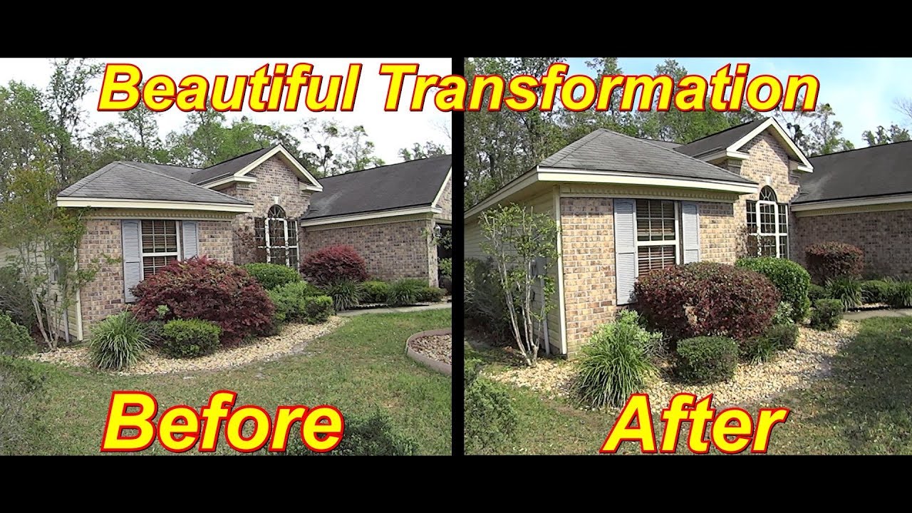 Cutting Grass - Trimming Overgrown Bushes / Shrubs with Stihl Hedge Trimmer #SideHustle