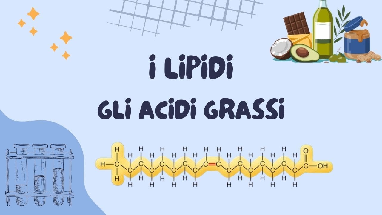 I lipidi - Gli acidi grassi