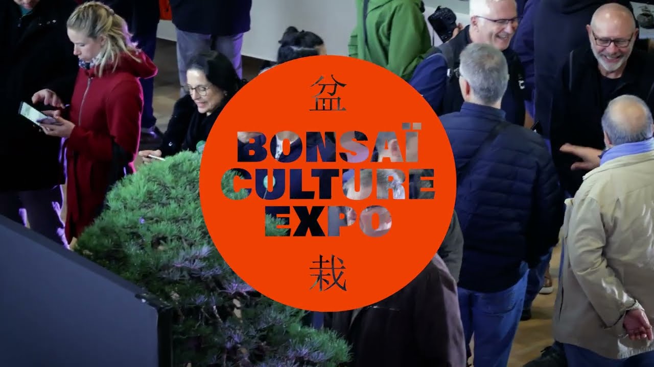 BONSAI CULTURE EXPO 2023 - Le film