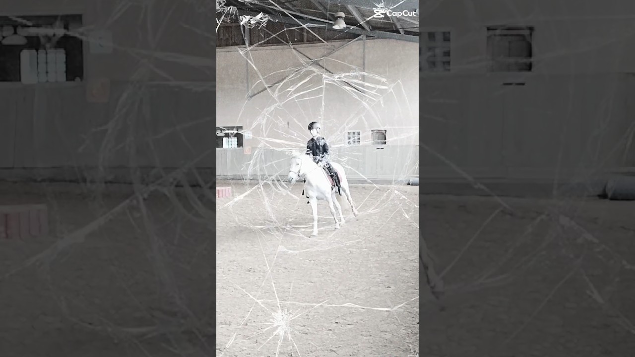 combien sur 10 le galop sans &eacute;trier ?😘😜😎