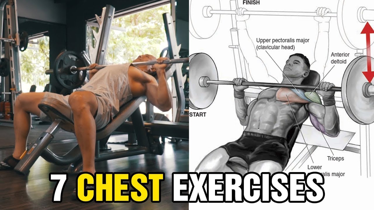 7 B&agrave;i Tập Ngực Hiệu Quả Cho Người Mới Tập Gym