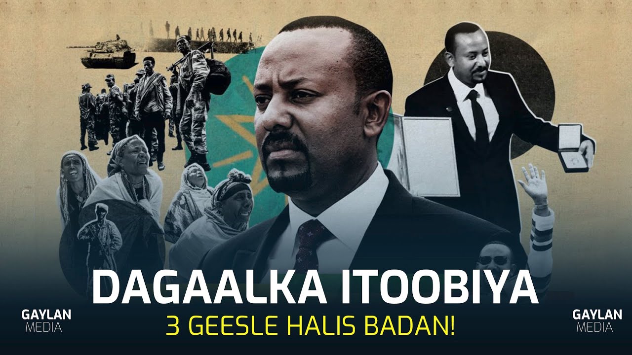 Dagaalka Gobalka Amharada: 3 Geesle Saameyn badan, ku luglahaanshaha darafyada iyo saameynta Geeska