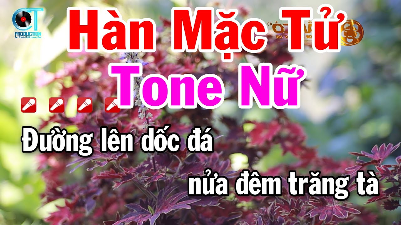 Karaoke Hàn Mặc Tử Tone Nữ Beat Dễ Hát 2025