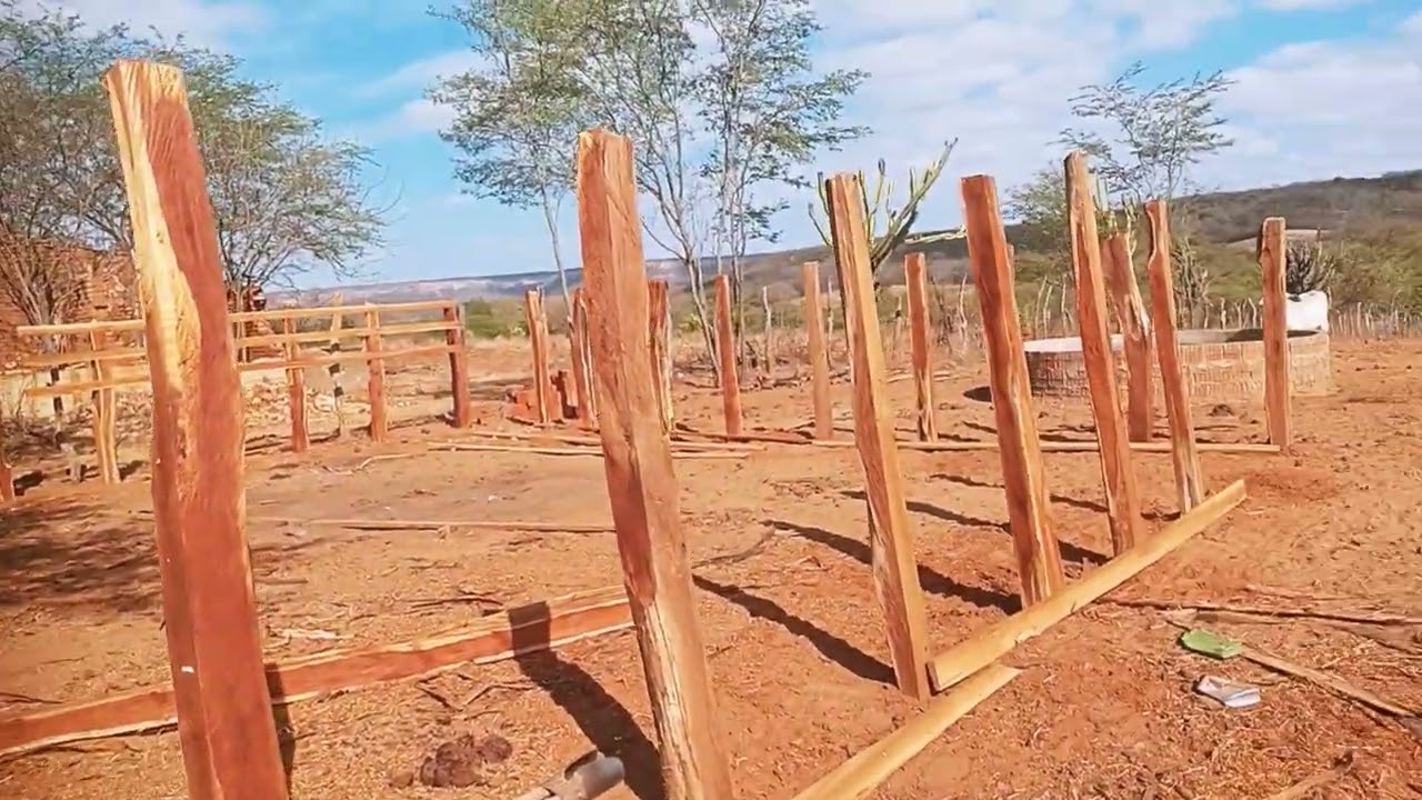 Mostrando como nossa região e muito boa pra criar gado 👏 #fazenda #pecuarista #gado 