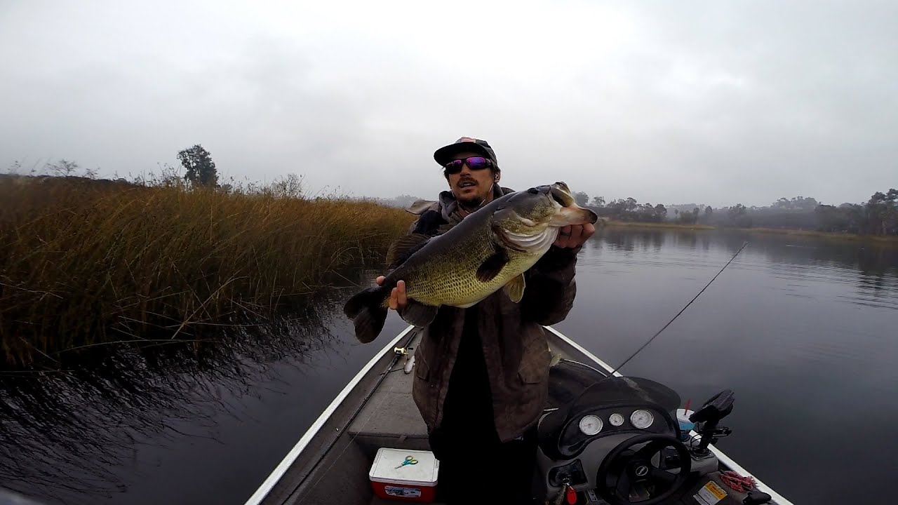 GoPro: Mike Gilbert - Best Catch 8.15.15. - Fish
