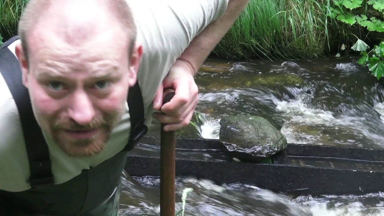 Goldwaschen: Mein Tag 1 Bayrischer Wald