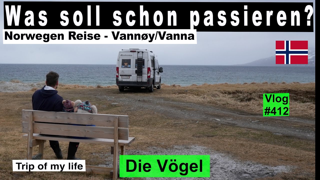 #412 Roadtrip Norwegen, Insel Vannøy Action, Sandstrand, Burøysund Torsvag | Seeadler & Gummistiefel