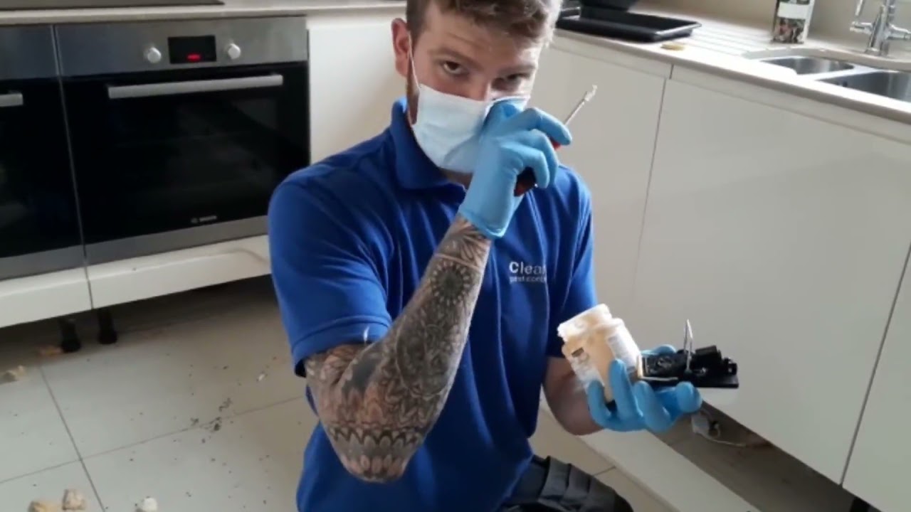 Case Study - Rodent Removal