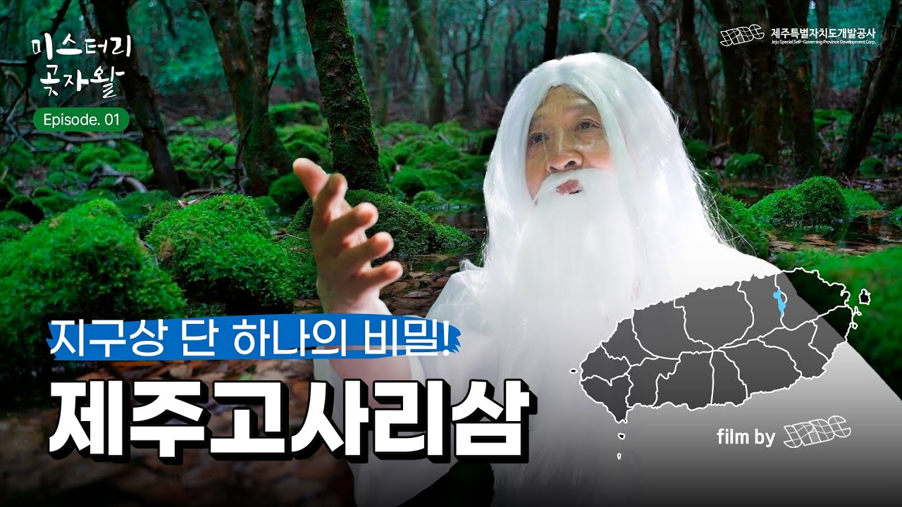 [원시의 숲, 1만 년의 비밀] 미스터리 곶자왈 with God Jewel 1편 - 지구상 단 하나의 비밀, 제주고사리삼