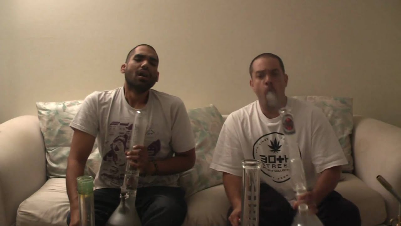 The Weedview #11: Sativa Vs Indica