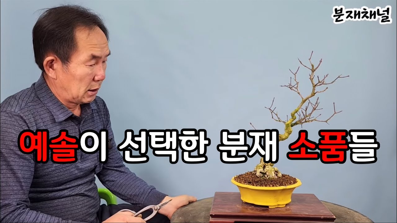 분재쇼핑-예솔이 선택한 분재 소품들