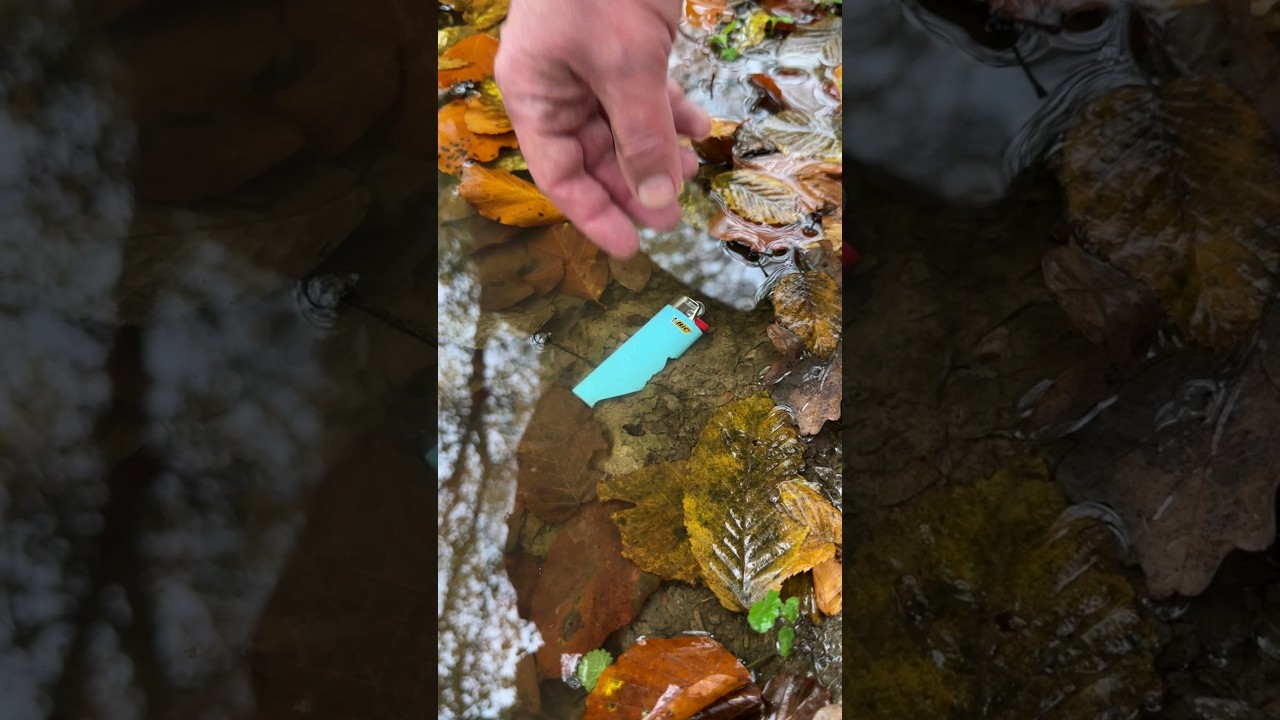 Survival Skills: FIRE 🔥 from a broken lighter in Extreme Conditions. #survival #camping #lifehacks