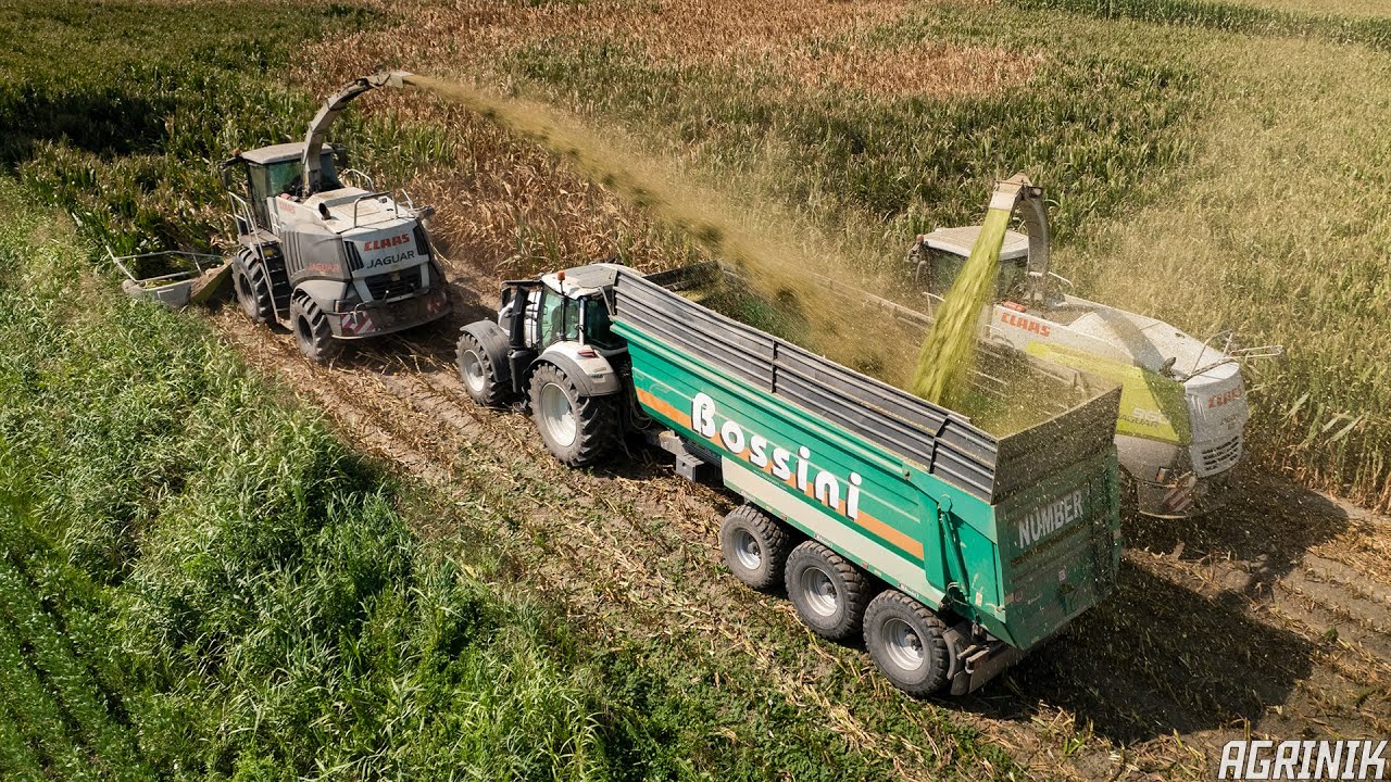 Trinciato Mais 2021 con Claas Jaguar 980 Black & 960 | Team Littamè