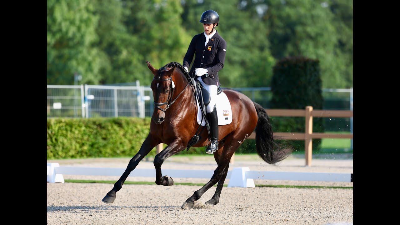 Alfonso Ramírez y Quincallero Ancla II en la Small Final de 5 años (72.800%)