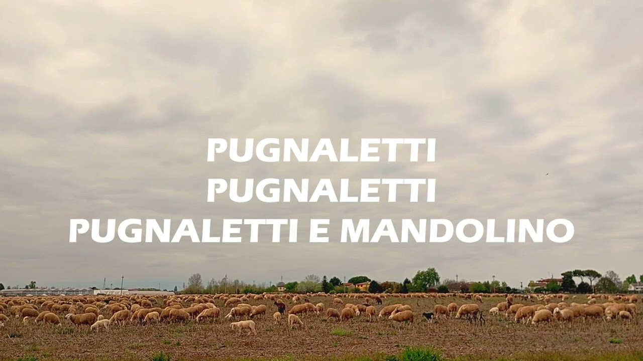 Edo Cremonese - Pugnaletti e Mandolino