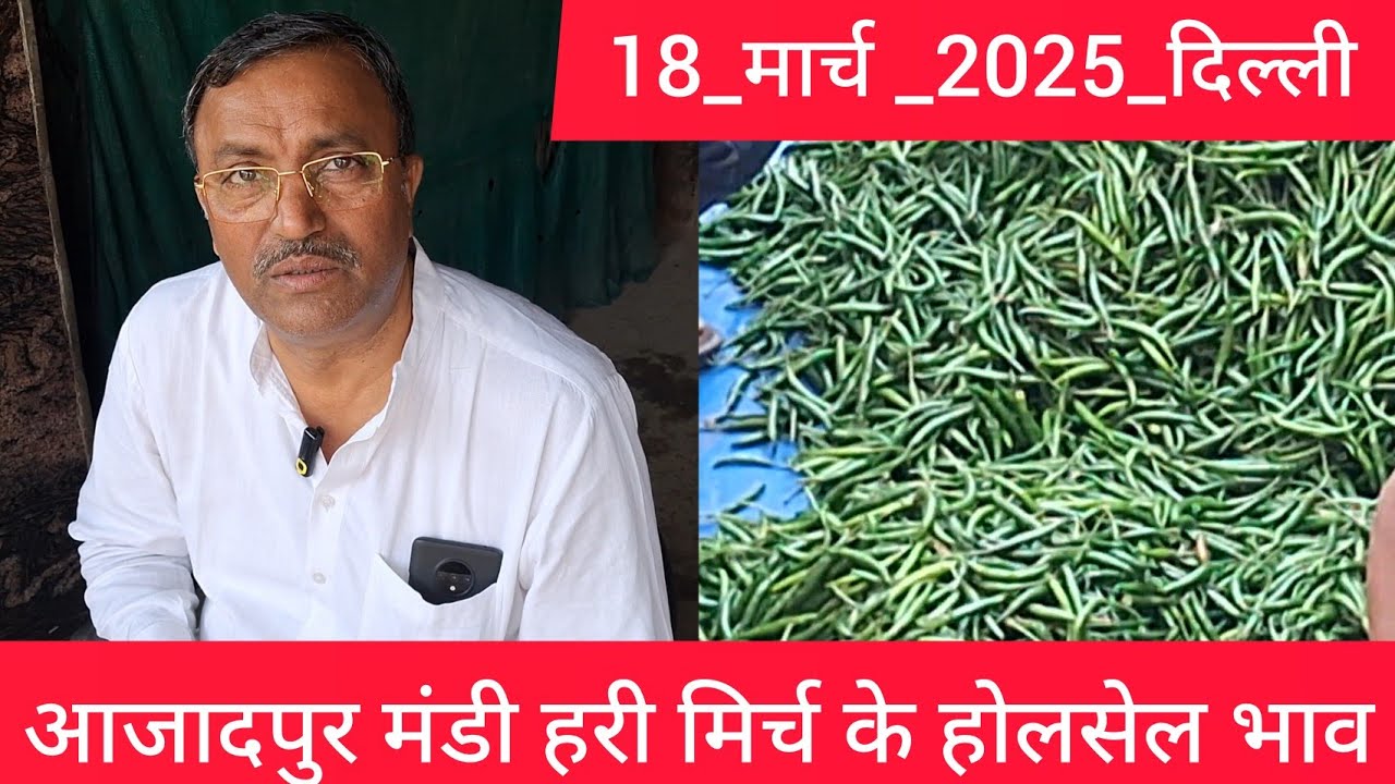 March 18, 2025 Delhi green chilli wholesale price delhi green chilli market price delhi fruit market