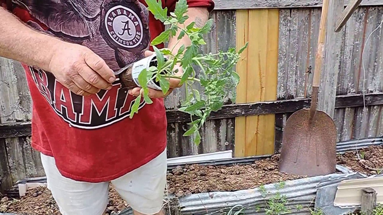 how to grow a garden with , 2 year old horse manure !