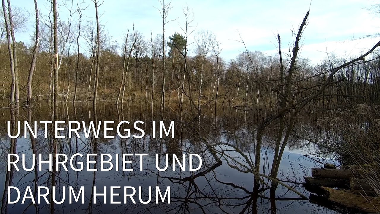 Unterwegs im Ruhrgebiet - 3 Seen in der Kirchheller Heide (Heidesee, Weihnachtssee, Pfingstsee)