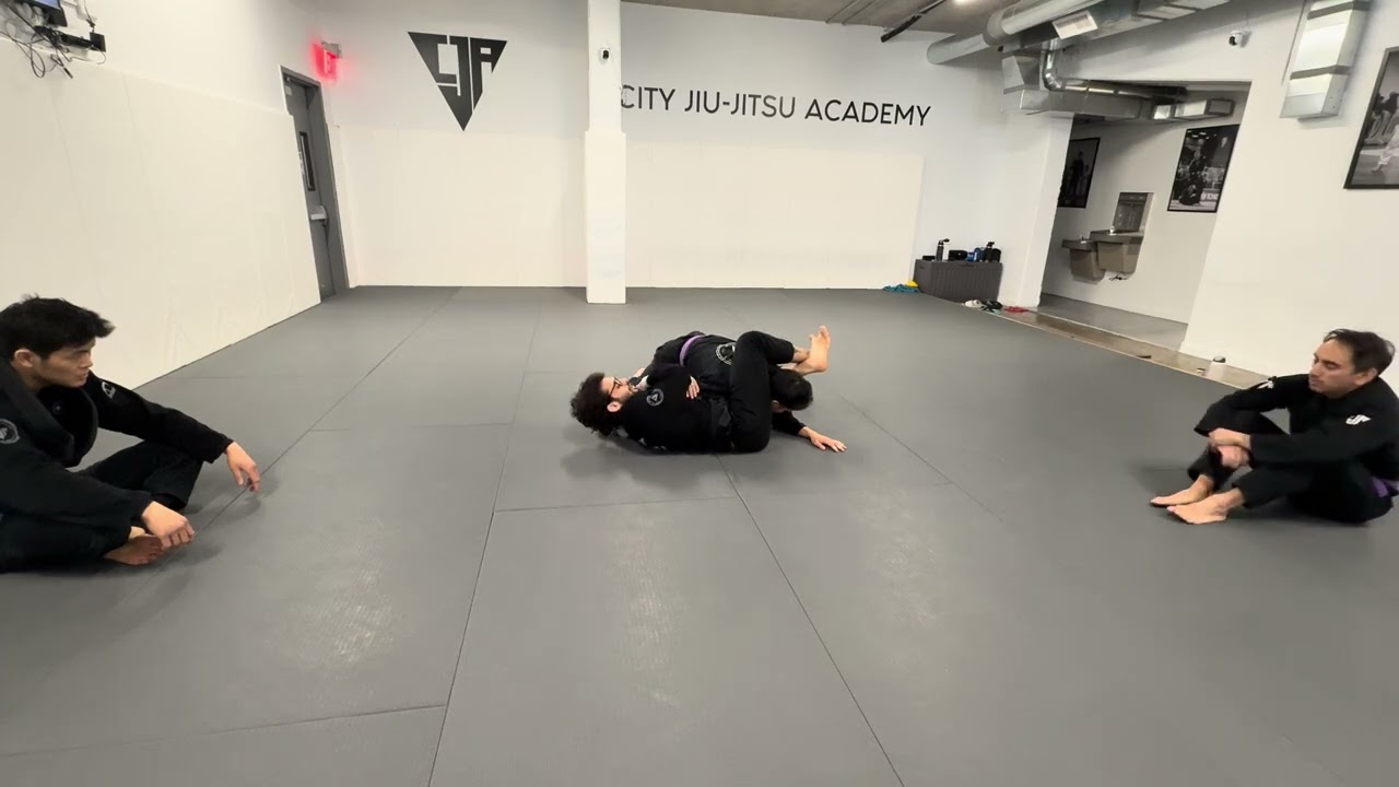 Offensive from Bottom of Side Control 