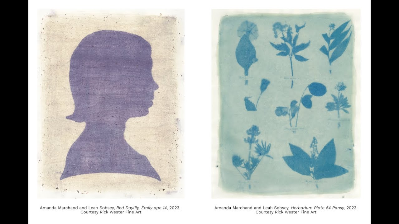 AIPAD Talks: Depth of Field with Amanda Marchand, Leah Sobsey and Rick Wester