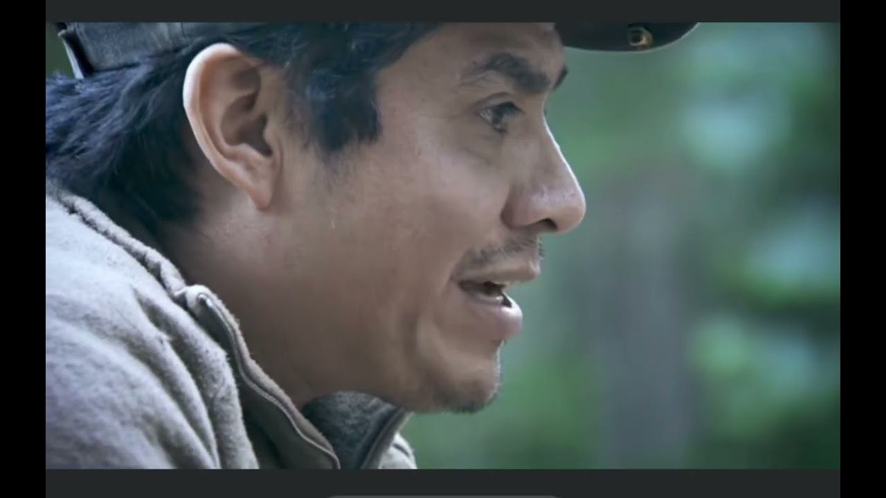 Temporada de Oro baja #aventurasconpalillo 