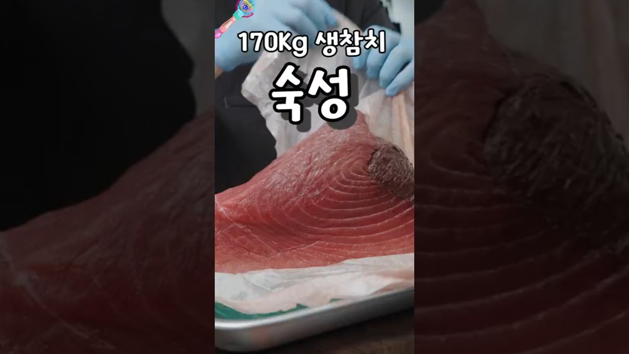 참치회를 오마카세급으로 숙성하는 방법 @수저