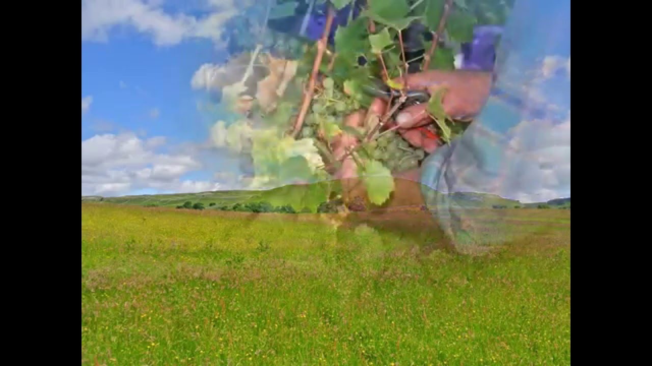 One Block Away by John Storey