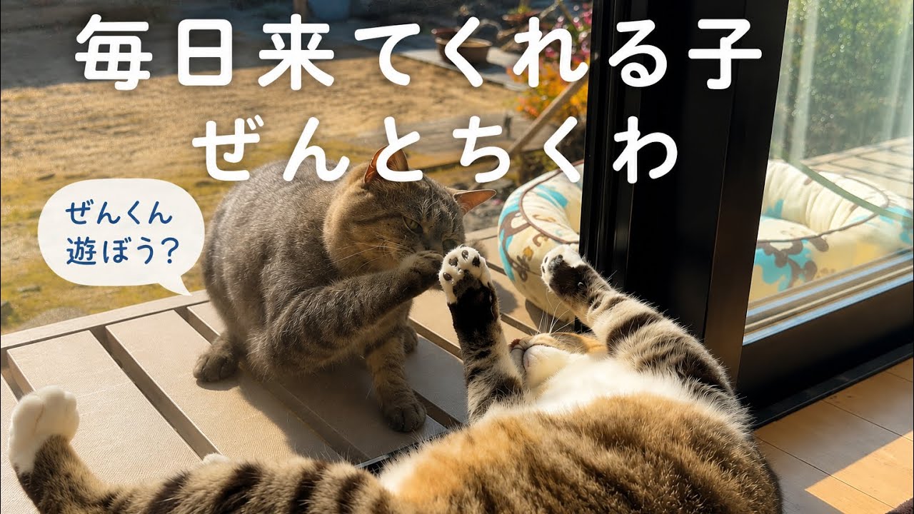 今日も、ちゃんと家族
