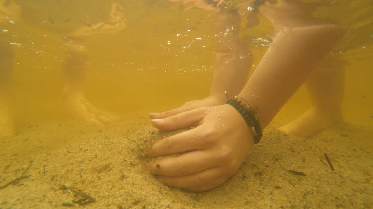 Microplastics are contaminating our national parks