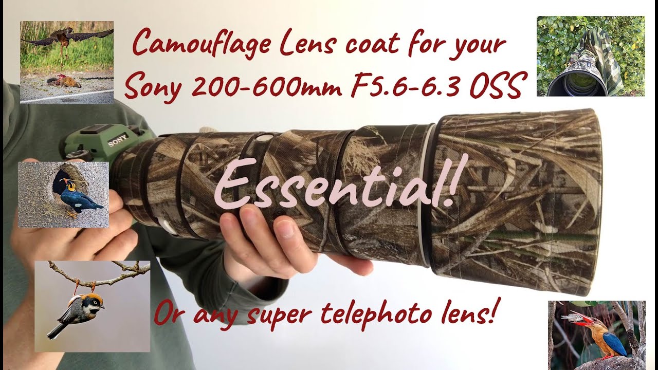 Supertelephoto camouflage! Don’t go with a naked lens in pursuit of wild birds! #naturephotography