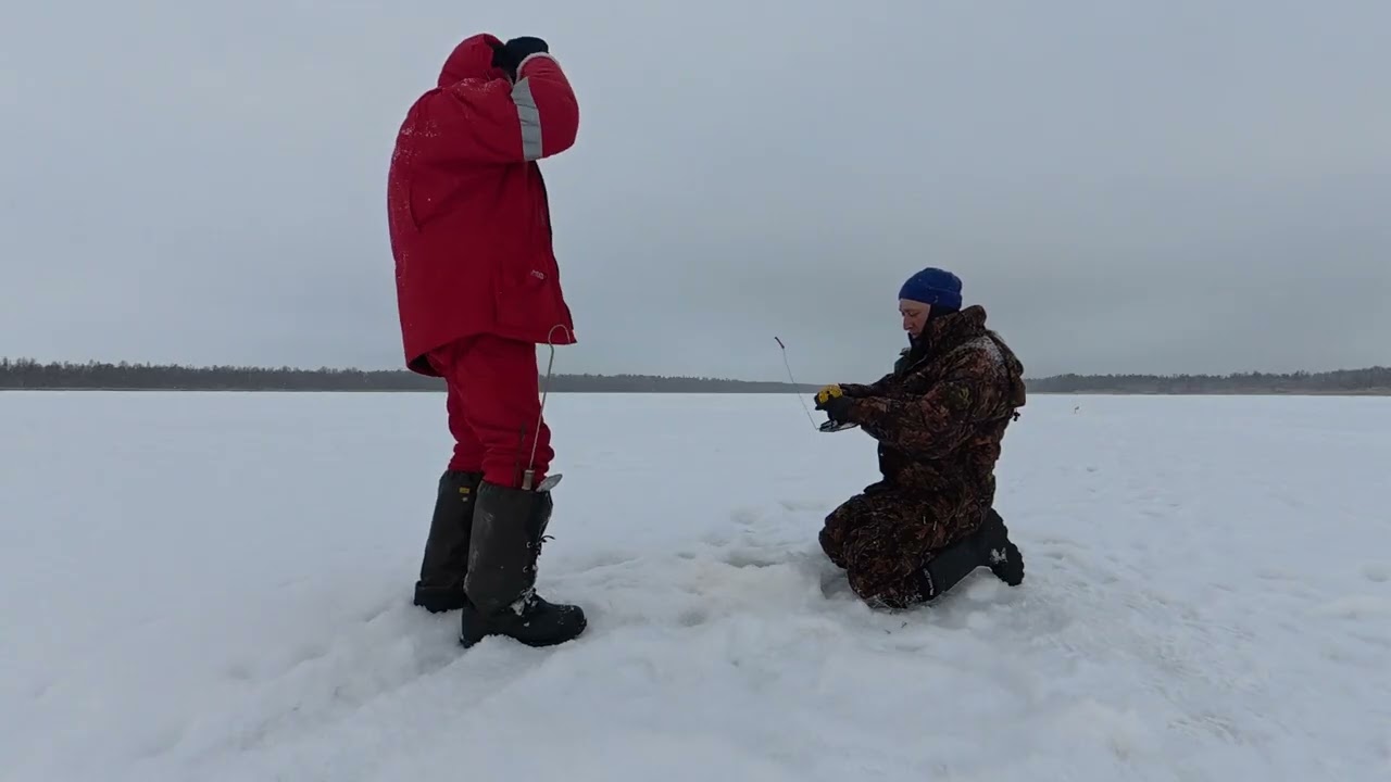 12 февраля 2026 г.