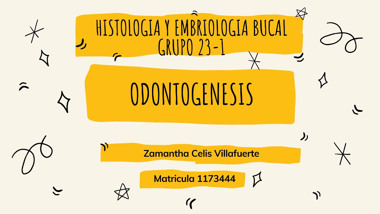 Odontogenesis- Histología y embriología dental