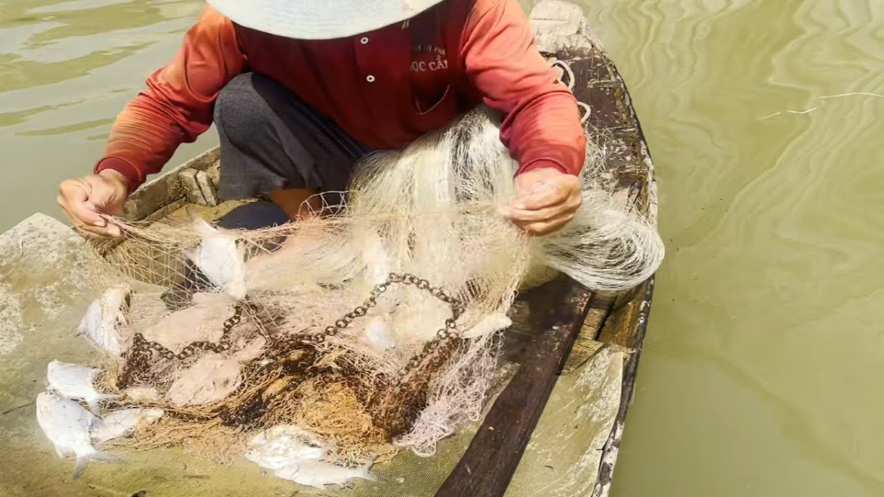 Ch&agrave;i thưa tr&ecirc;n s&ocirc;ng Tiền bắt c&aacute; lớn - S&ocirc;ng Nước Cửu Long - Nguyễn H&ugrave;ng