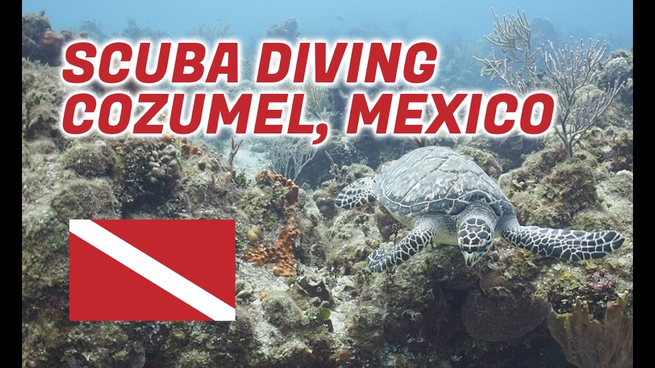 Cozumel, Mexico - 2026 Group Dive Trip