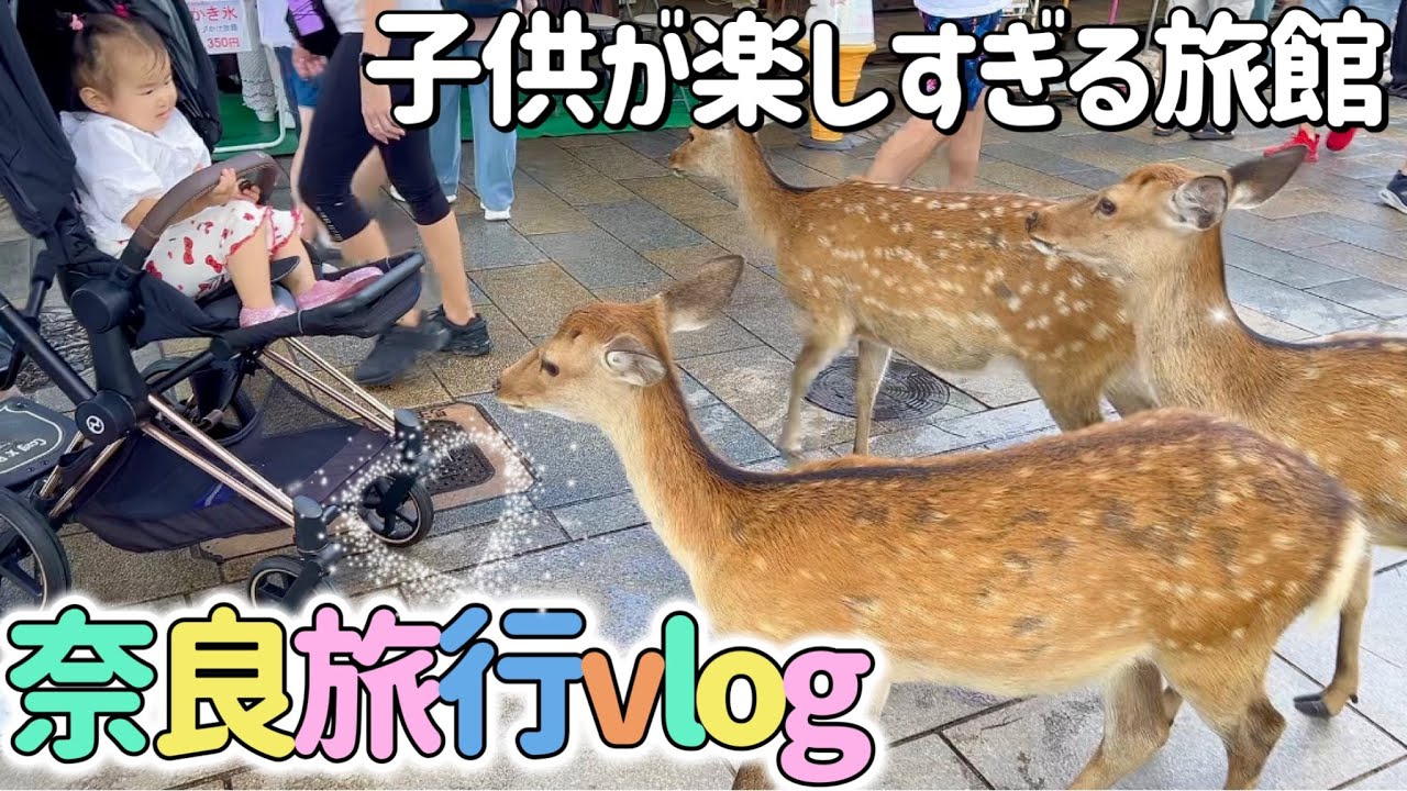 奈良旅行Vlog🦌♥️ 終始大興奮の4歳と1歳🤣　子連れ奈良公園　美榛苑泊(みはるえん) キッズスペース🩷ランチ
