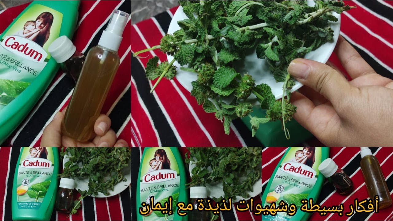 علاج القشرة والفطريات الشعر 🍃 عشبة مريوت للشعر رحمة ديال الله