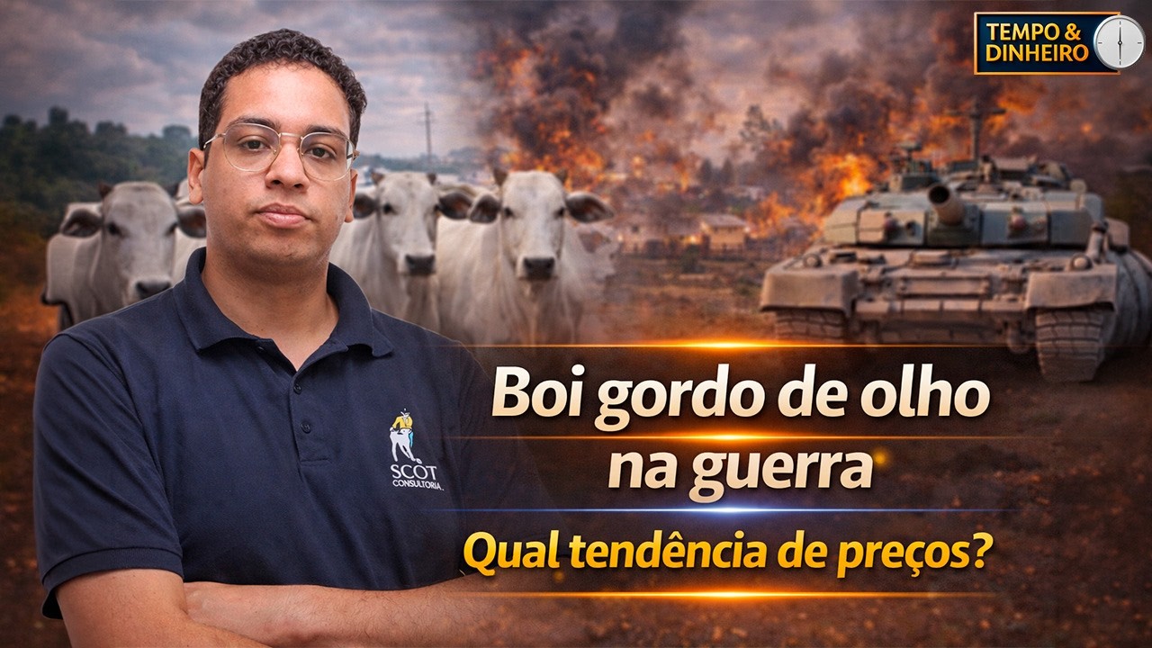 Boi gordo monitora guerra no Oriente Médio, exportações e abates menores. Qual tendência de preços?