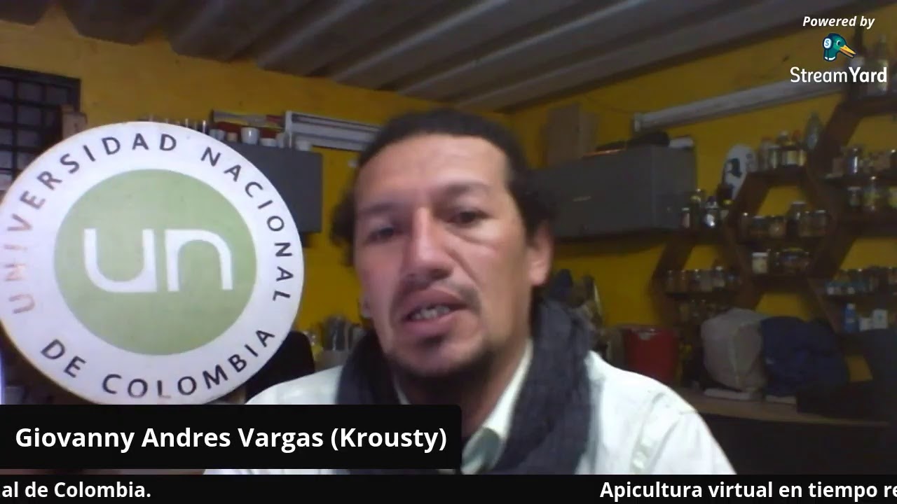 Glándulas y feromonas en abejas africanizadas
