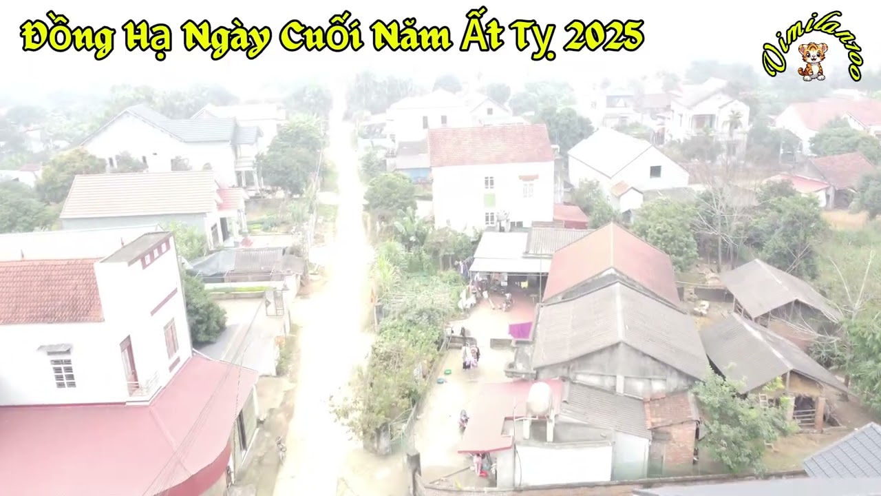 Đồng Hạ Ngày Cuối Năm
