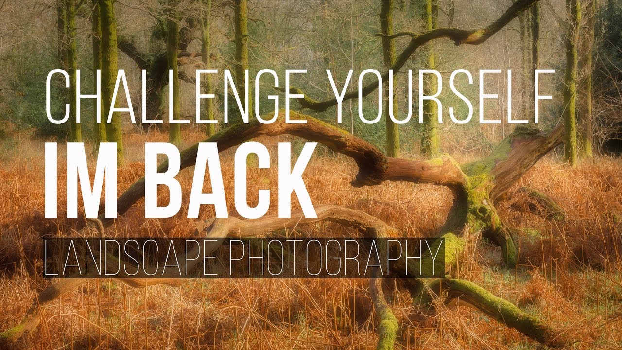 landscape Photography / Challenge Yourself With The Nifty Fifty And Woodland Photography