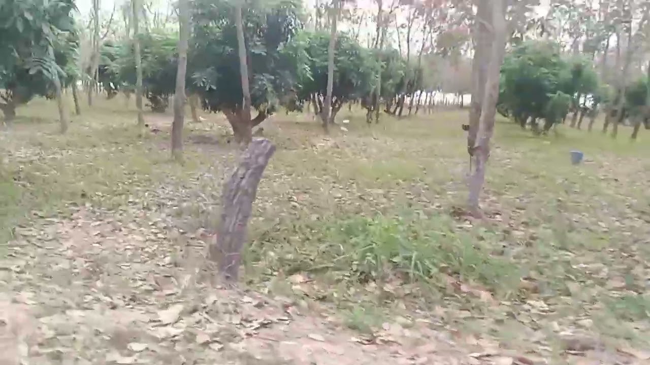 เขื่อนห้วยติ๊กชู