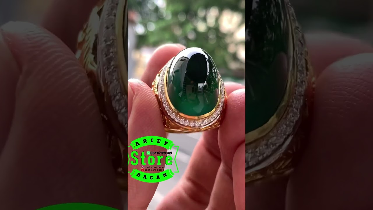 Bacan coklat kwalitas istimewa calon idaman